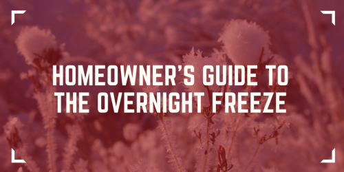 Homeowner's Guide to the Overnight Freeze - Overnight Freeze
